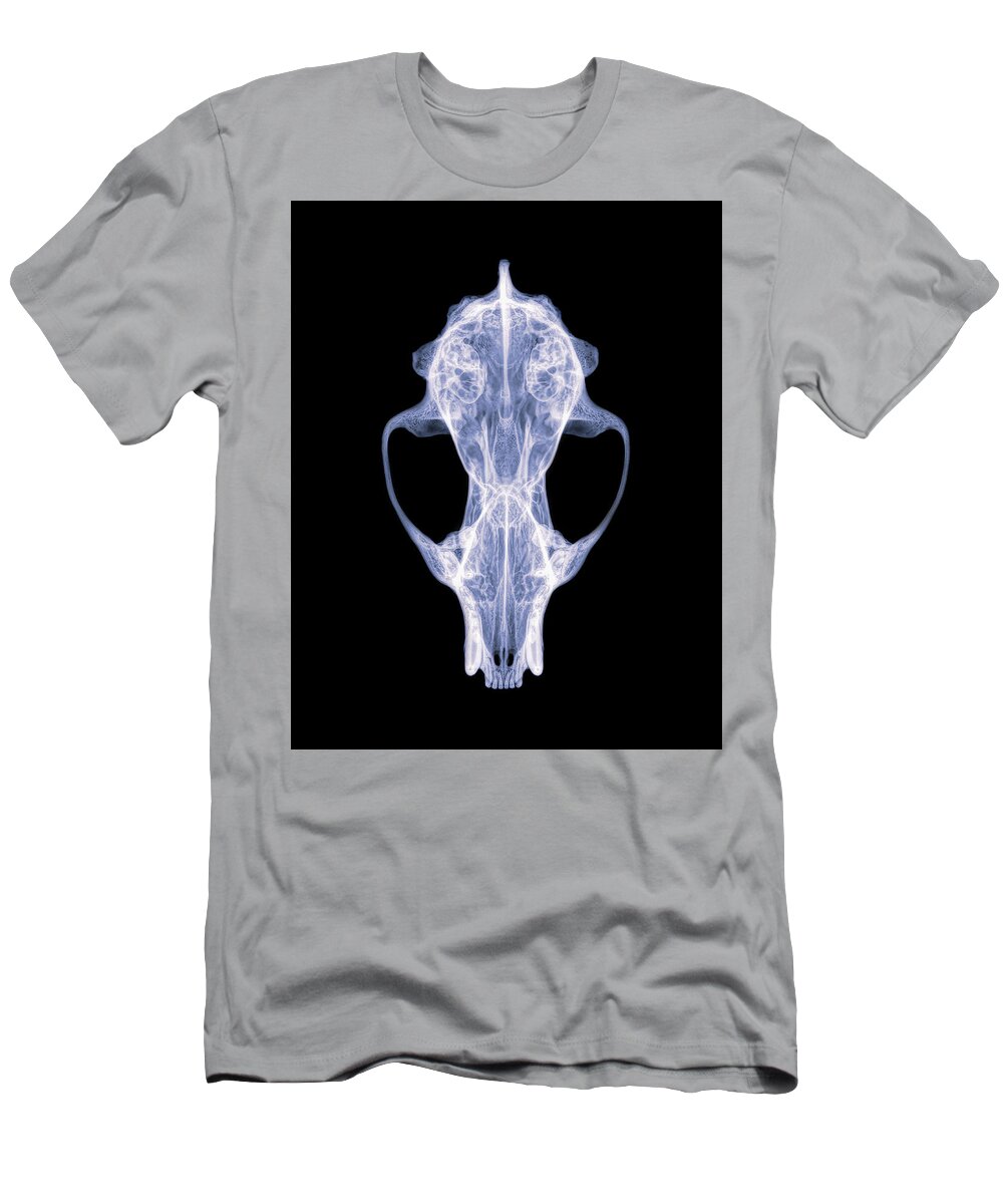 Mammal T-Shirt featuring the photograph Fisher -2 by Rob Graham