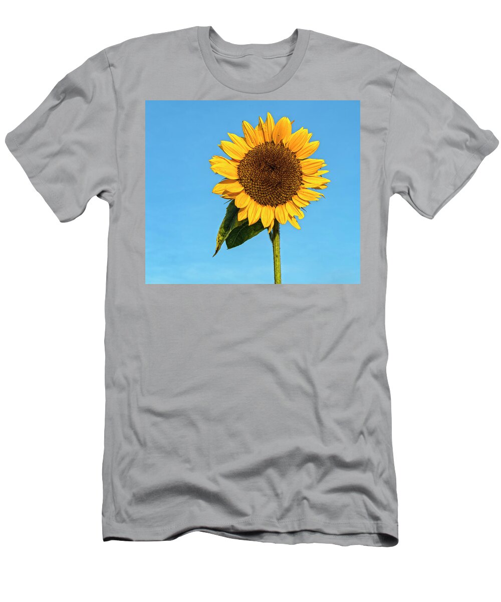 Sunflowers T-Shirt featuring the photograph Flower For A Lady by Angelo Marcialis