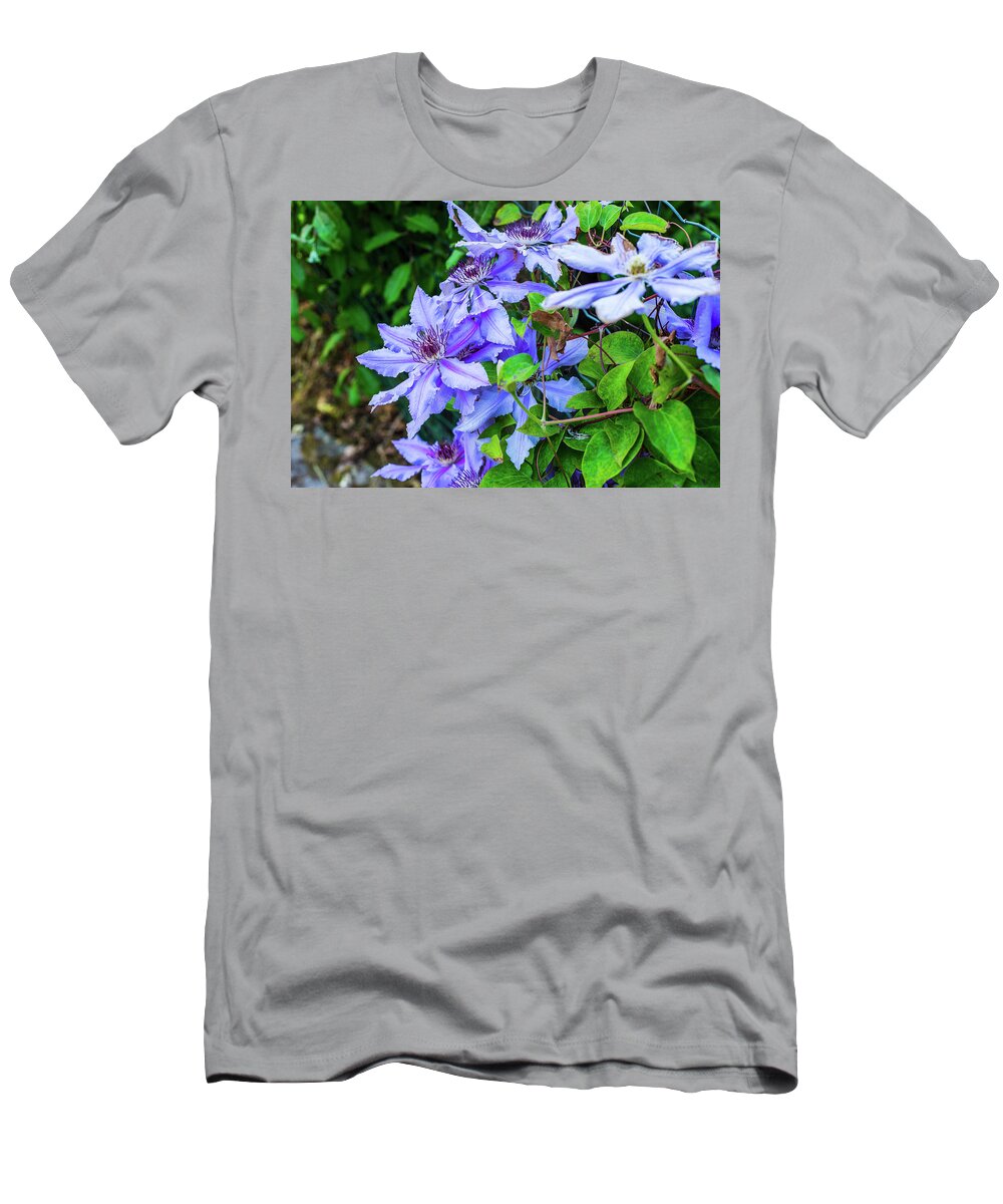 Flower T-Shirt featuring the photograph Flowering blue clematis in the garden. Beautiful lilac clematis flower by David Ridley