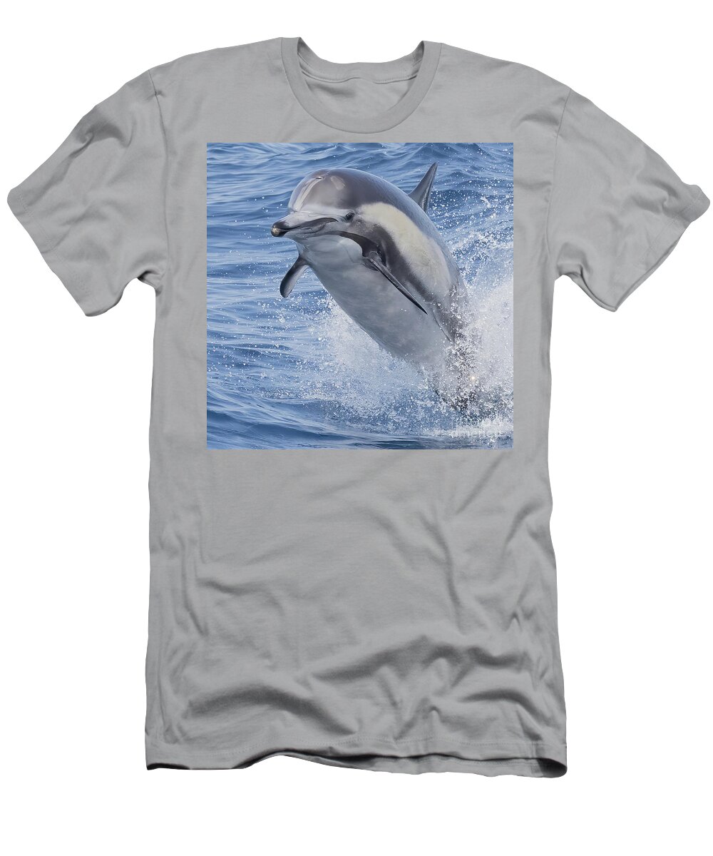 Dana Wharf T-Shirt featuring the photograph Flying Dolphin by Loriannah Hespe