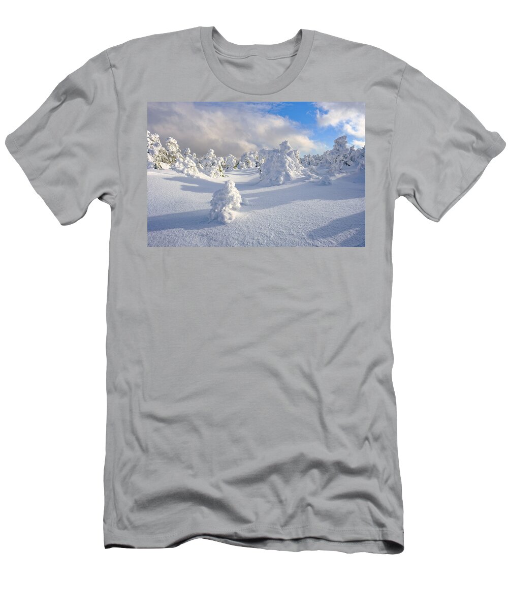New Hampshire T-Shirt featuring the photograph Rime and Shadow. by Jeff Sinon