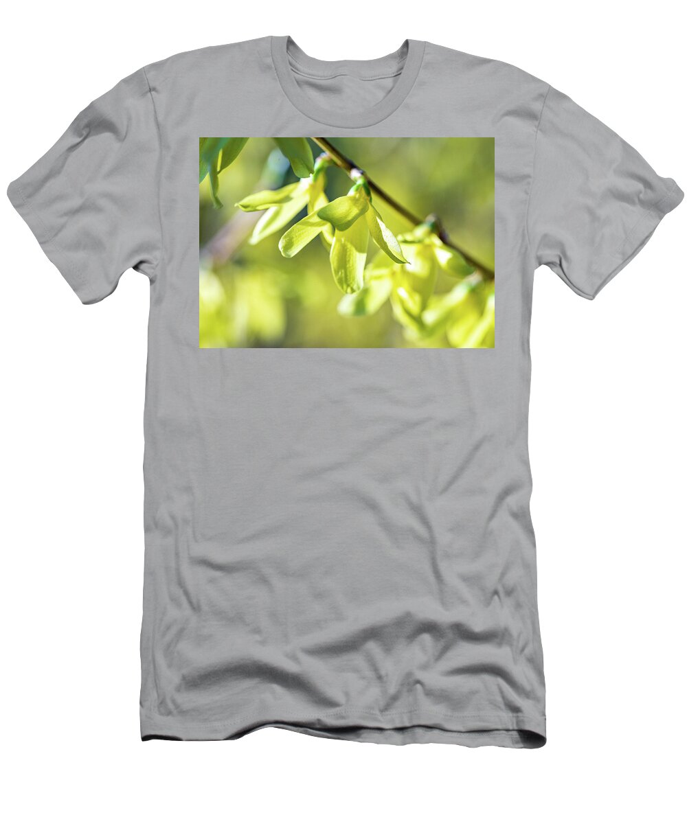 Flower T-Shirt featuring the photograph Forsythia Branch by Amelia Pearn