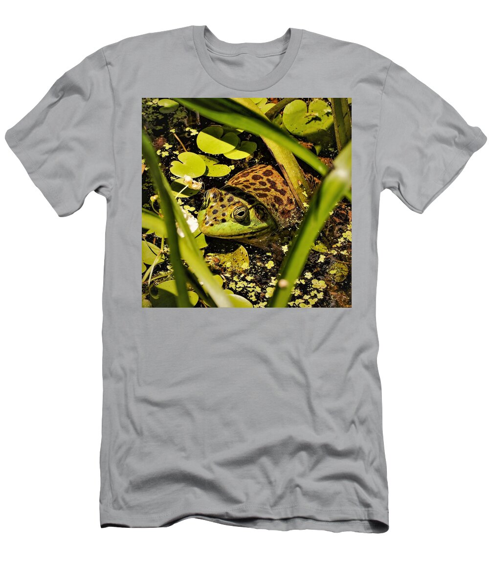 Frog Water Pond Green Leaves Eye Reptile T-Shirt featuring the photograph Frog by John Linnemeyer