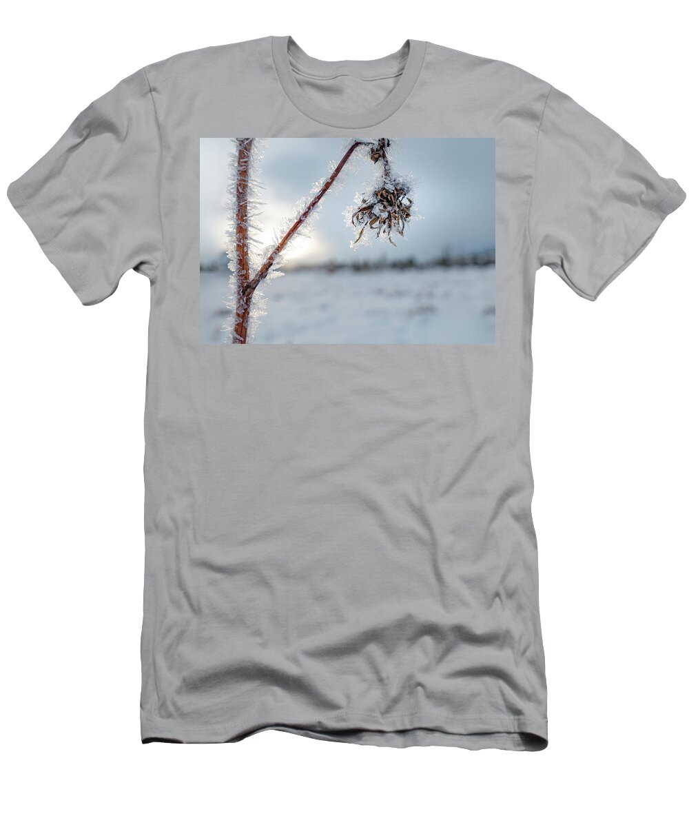 Frost T-Shirt featuring the photograph Frost On A Winter Annual by Karen Rispin