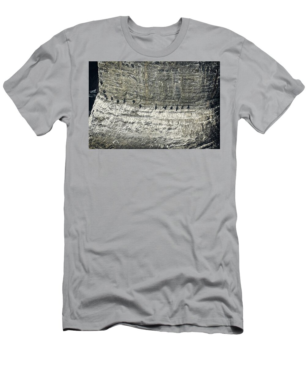 Barrier T-Shirt featuring the photograph Get Your Ducks In A Row by David Desautel