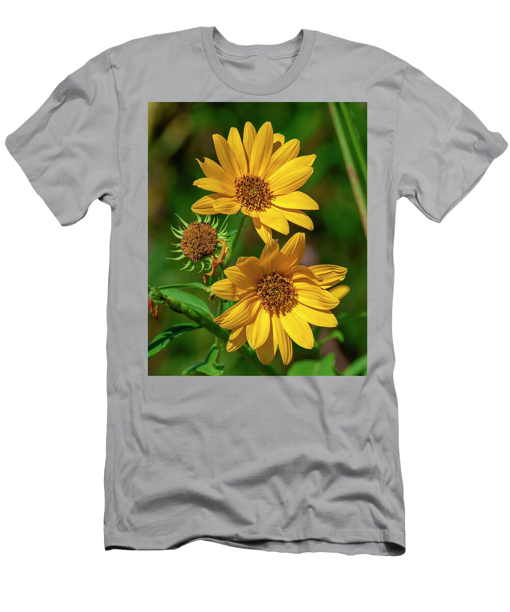Aster Family T-Shirt featuring the photograph Giant Sunflowers DFL1224 by Gerry Gantt