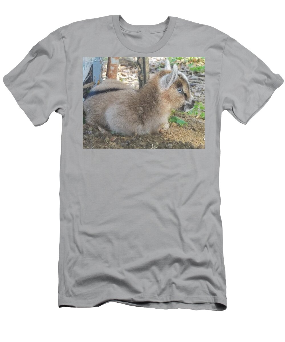 Goat T-Shirt featuring the photograph Goat Kid Cover Girl by Katrina Gunn