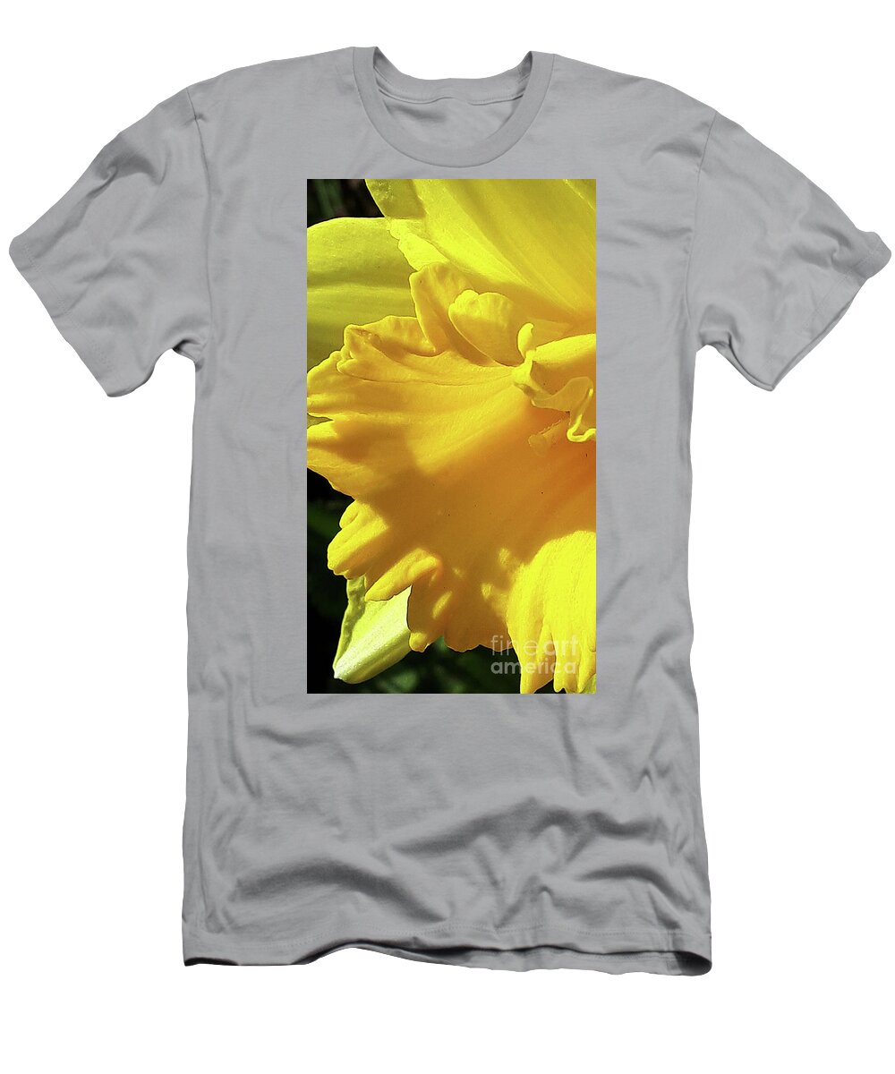 Daffodil T-Shirt featuring the photograph Golden Glory by Brenda Kean