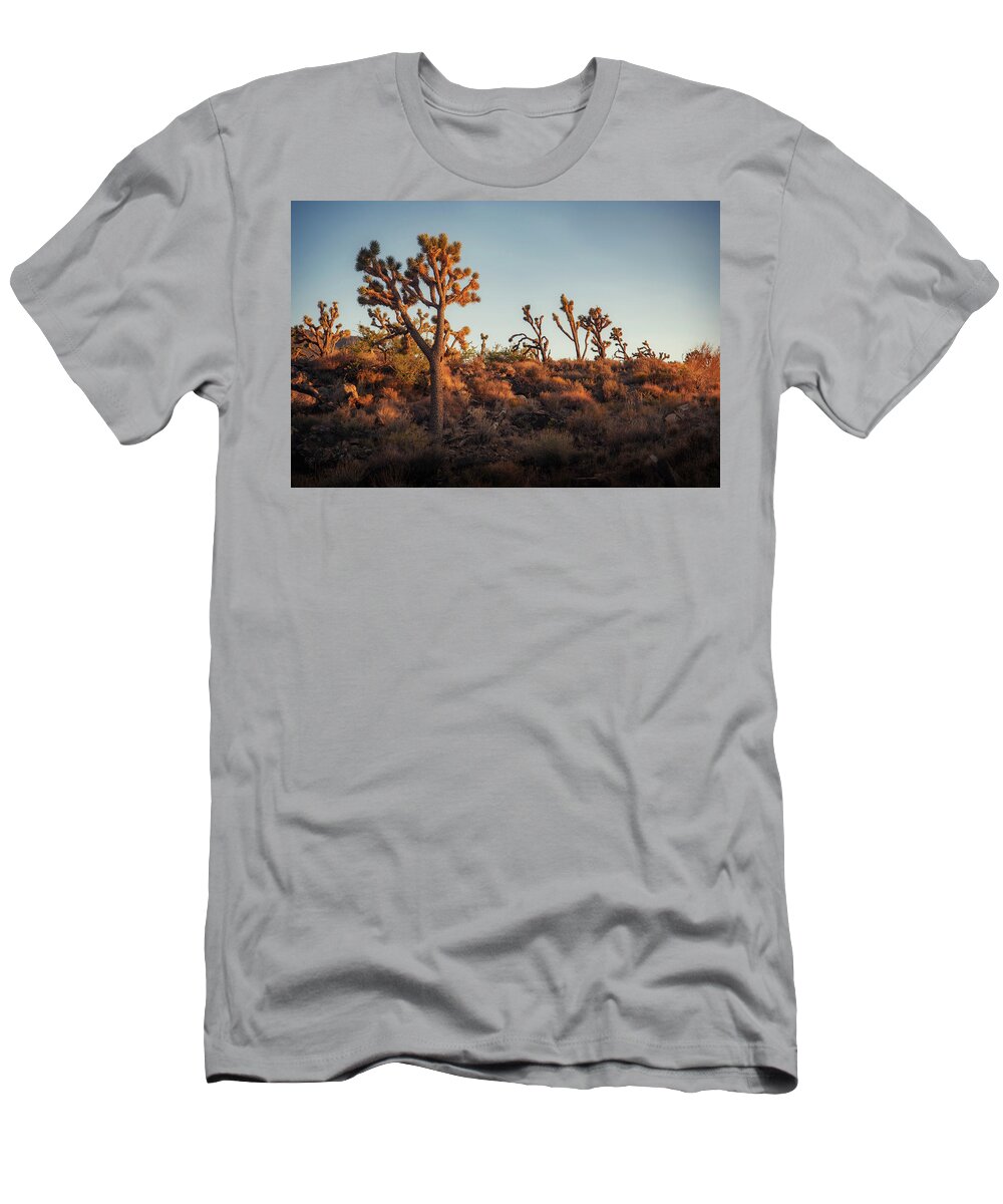 Joshua Tree National Park T-Shirt featuring the photograph Golden Joshua Tree by Ray Devlin
