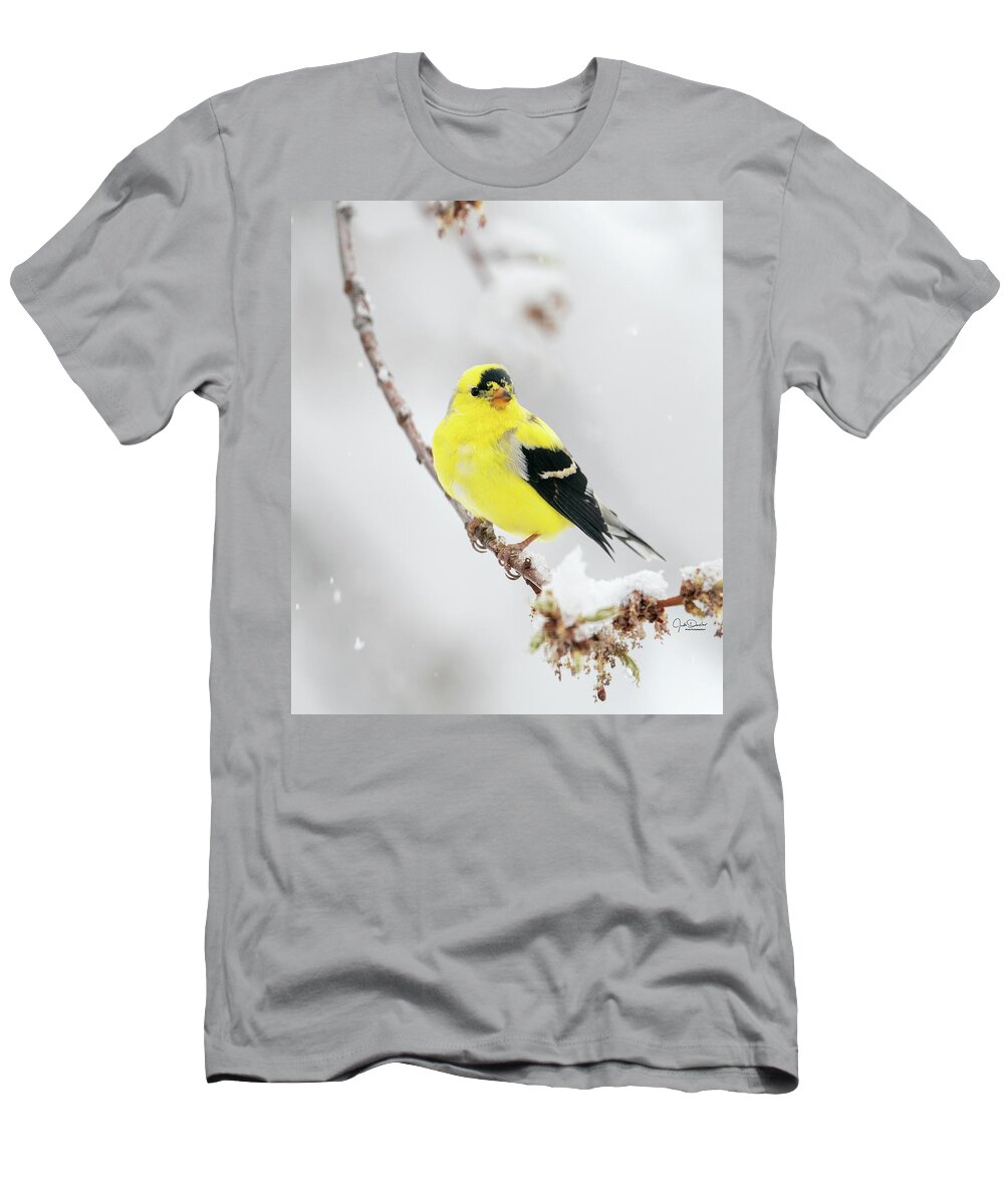Goldfinch T-Shirt featuring the photograph Goldfinch in snow by Judi Dressler