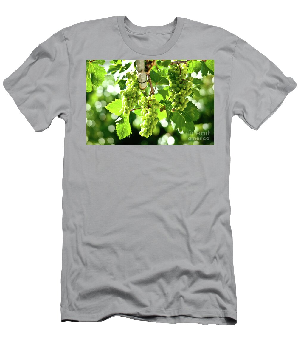 Grape T-Shirt featuring the photograph Green Grapes by Rich S