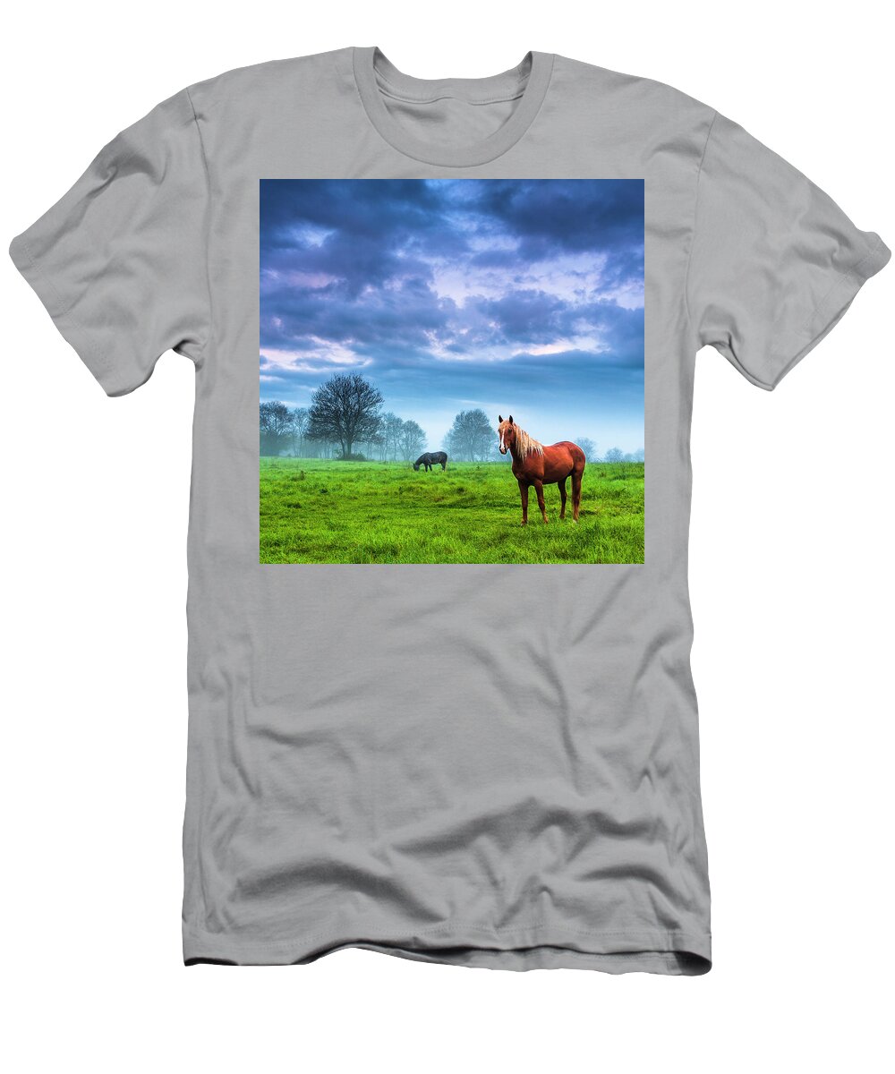 Fog T-Shirt featuring the photograph Green Morn by Evgeni Dinev