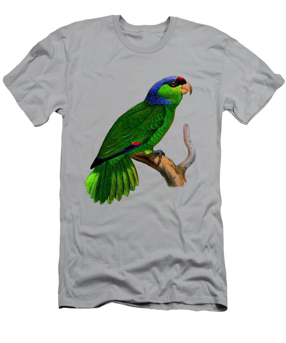 Festive Amazon T-Shirt featuring the digital art Green Parrot by Madame Memento
