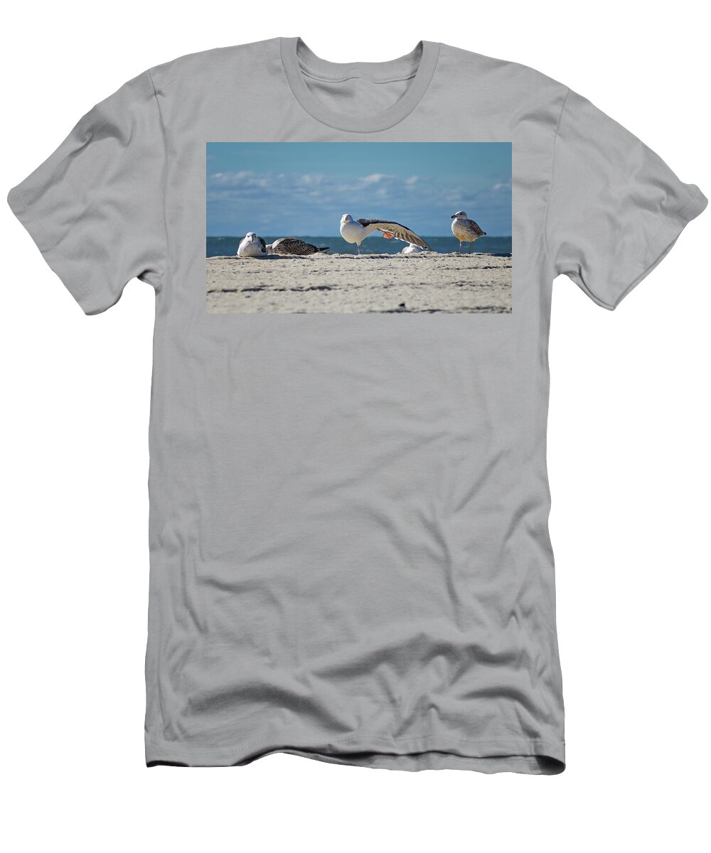 Sea T-Shirt featuring the photograph Gull Yoga by Steven Nelson