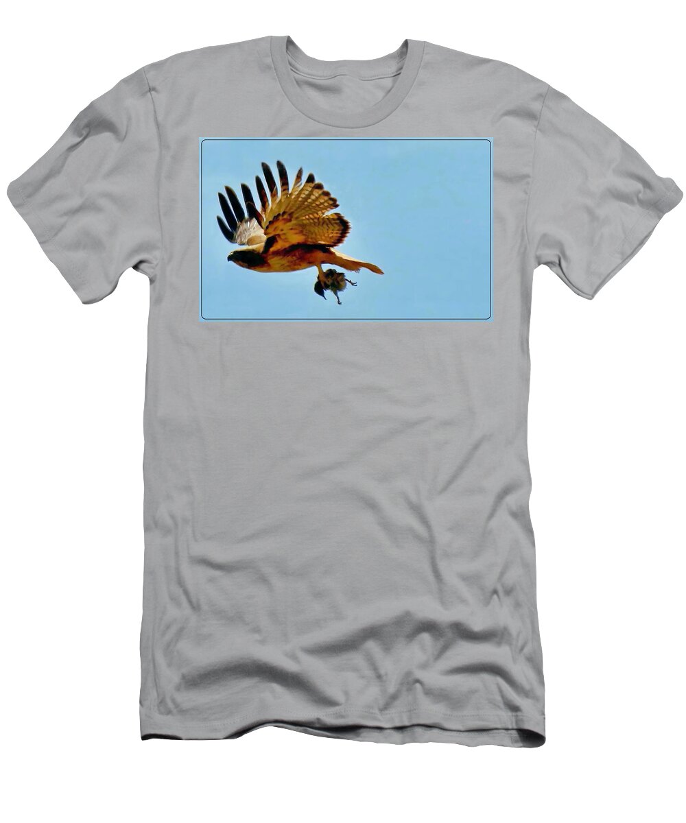 Waywardmuse T-Shirt featuring the photograph Hawk's Take-Out by Judy Kennedy