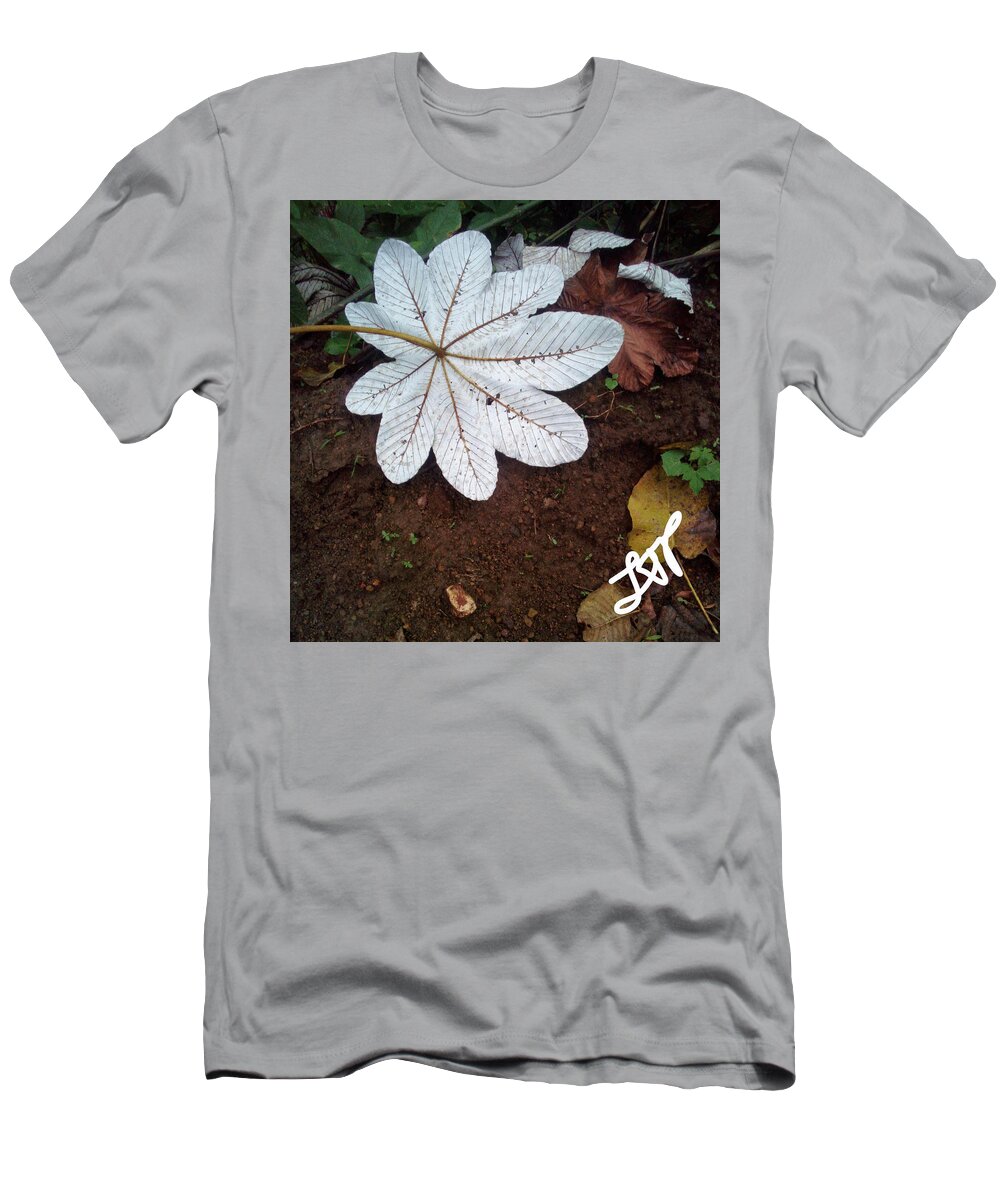 Heal T-Shirt featuring the photograph Heal Me Herbal by Esoteric Gardens KN