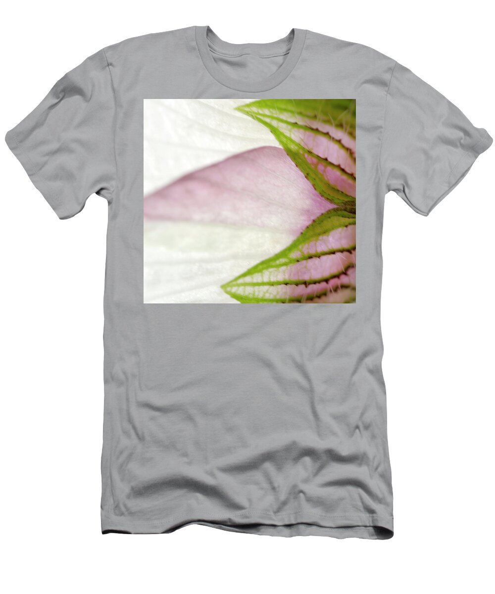 White T-Shirt featuring the photograph Hibiscus trionum Wild Flower Square by Iris Richardson