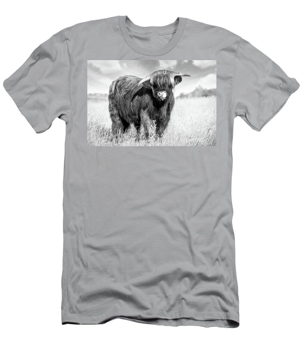 Highland Cattle T-Shirt featuring the photograph Highland cow tongue lick black and white by Simon Bratt