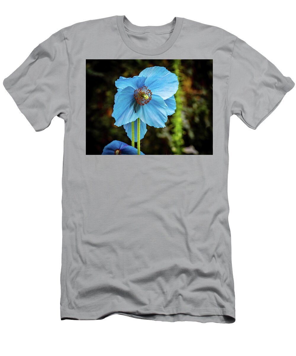 Blue T-Shirt featuring the photograph Himalayan Blue Poppy by Louis Dallara