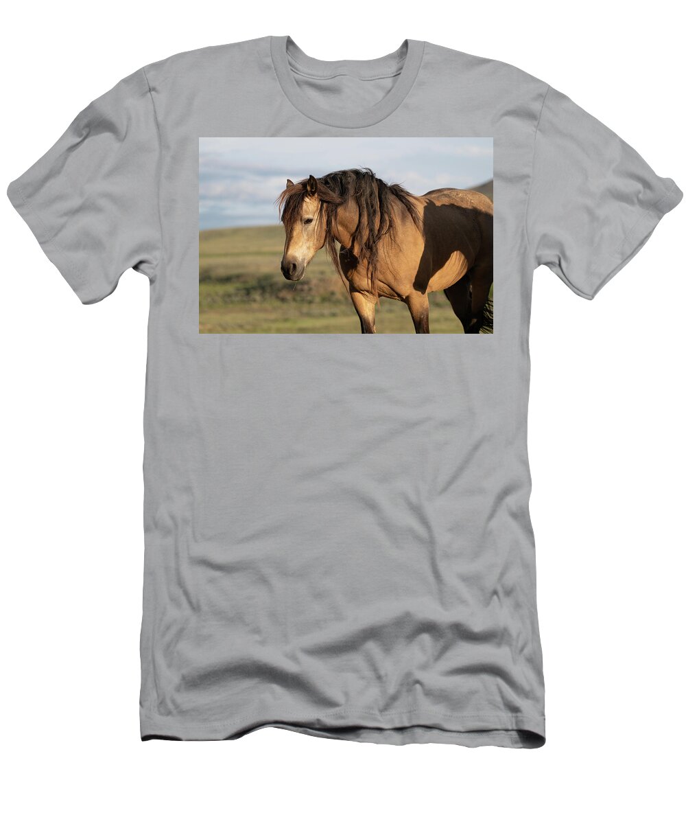 Wild Horses T-Shirt featuring the photograph Horse on Horse by Mary Hone
