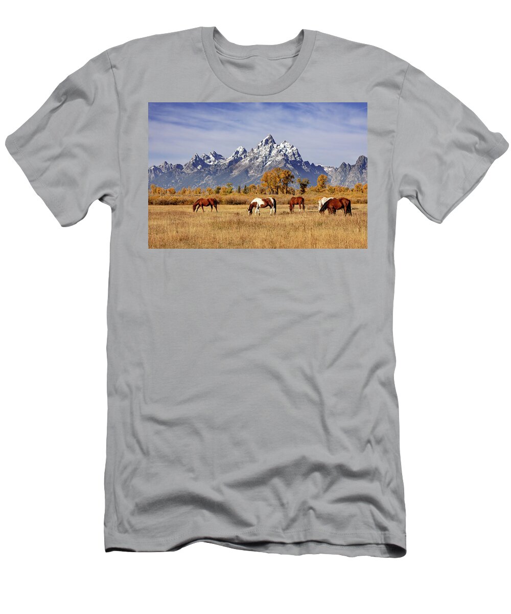 Grand Teton National Park T-Shirt featuring the photograph Horses at Grand Teton by Jack Bell