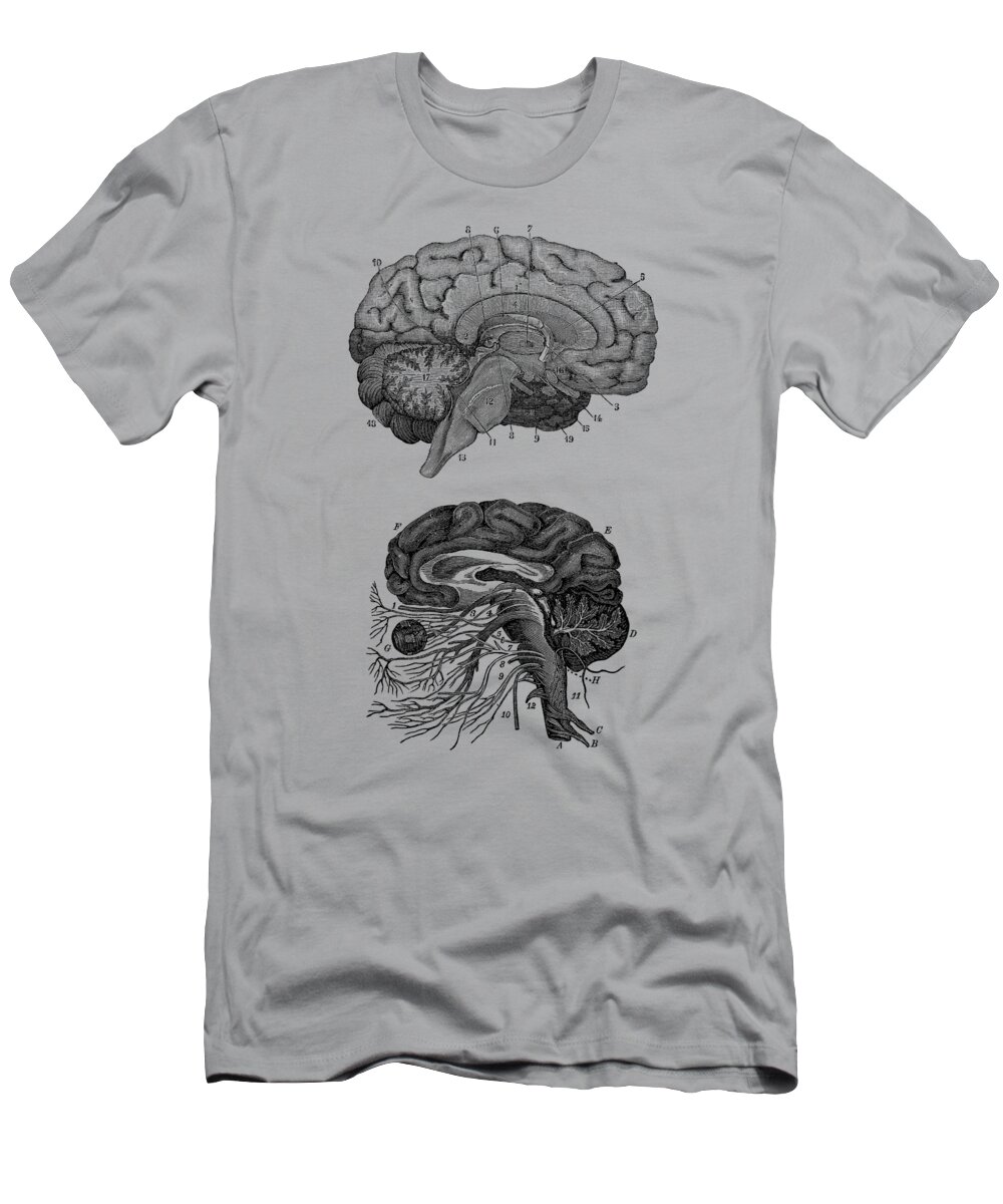 Brain T-Shirt featuring the drawing Human Brain - Central Nervous System - Vintage Anatomy Print 2 by Vintage Anatomy Prints