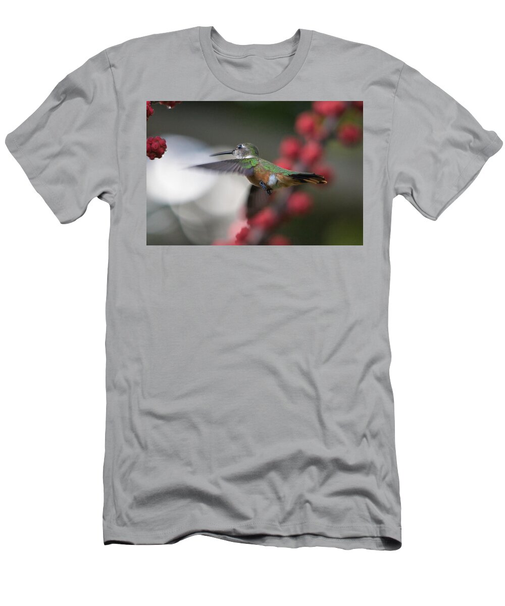 Hummingbird T-Shirt featuring the photograph Humming Bird between flowers by Montez Kerr