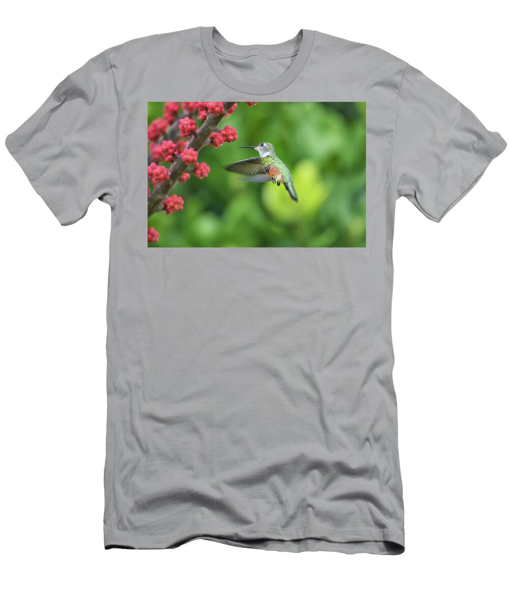 Humming Bird T-Shirt featuring the photograph Humming Bird in Flight by Montez Kerr