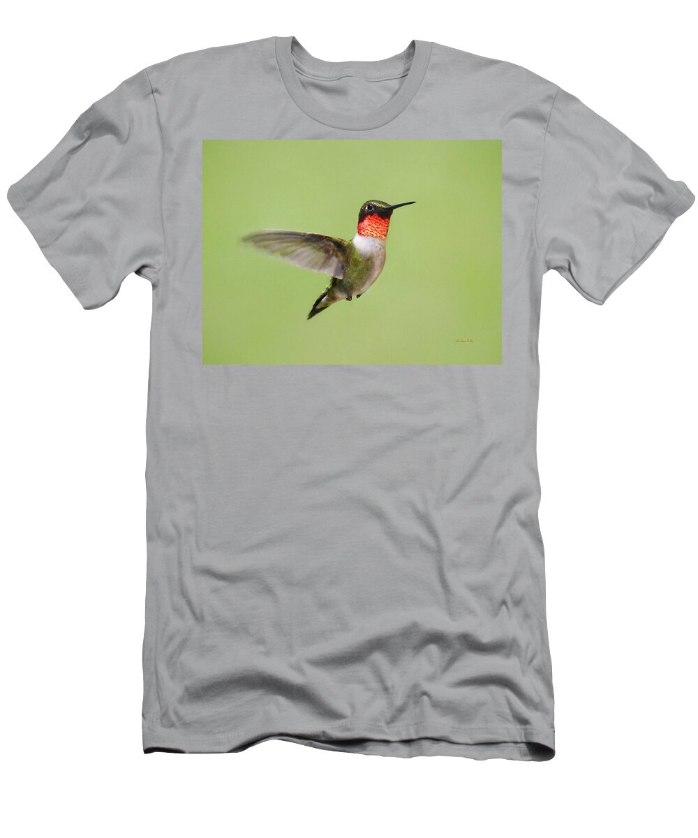 Hummingbird T-Shirt featuring the painting Hummingbird Defender by Christina Rollo