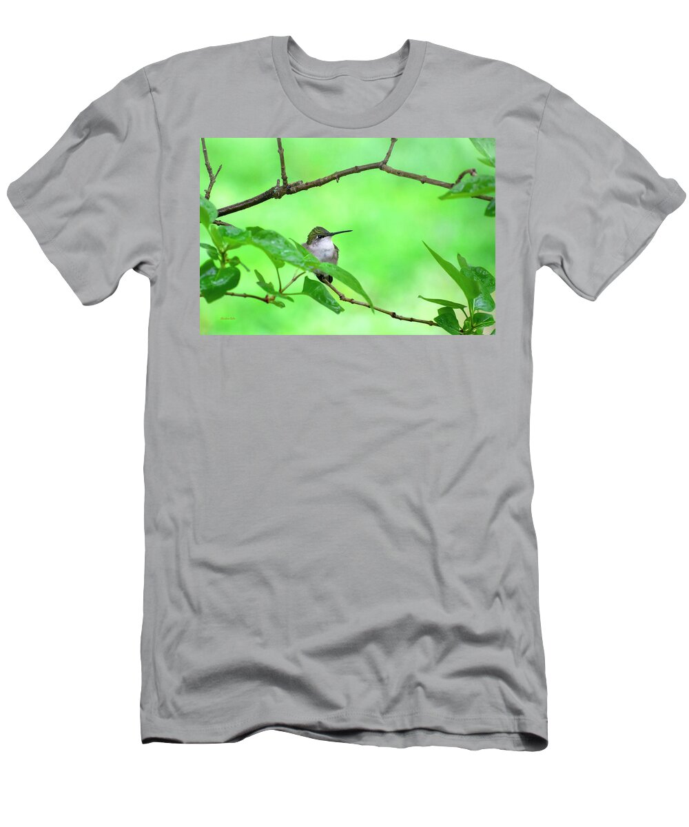 Hummingbird T-Shirt featuring the photograph Hummingbird Green by Christina Rollo