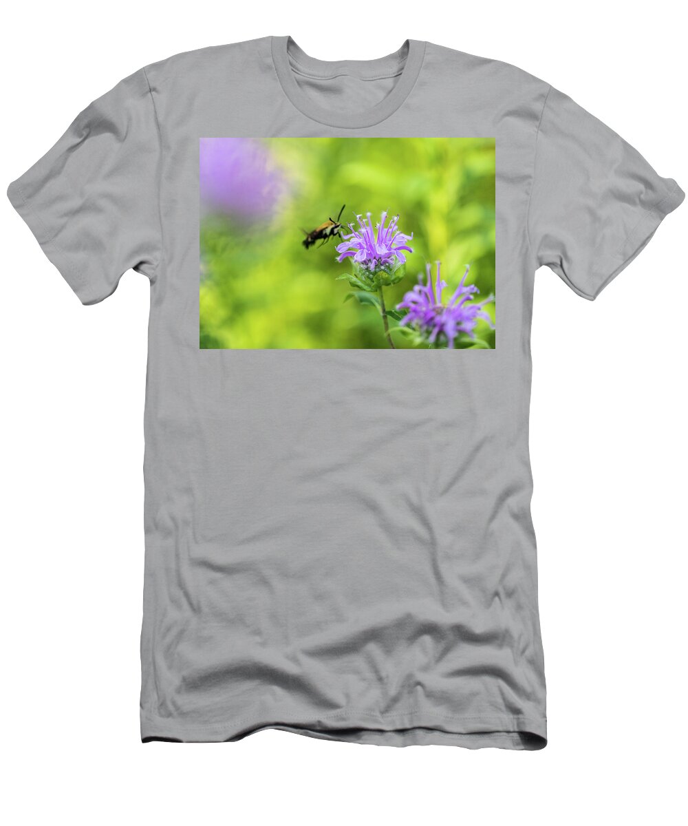 Plants T-Shirt featuring the photograph Hummingbird Moth - Delaware Water Gap by Amelia Pearn