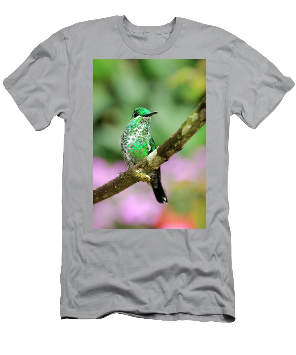 Hummingbird T-Shirt featuring the photograph Hummingbird by Oscar Gutierrez