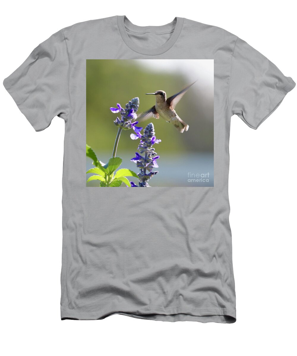 Curious T-Shirt featuring the photograph Hummmingbird Says Hello by Carol Groenen