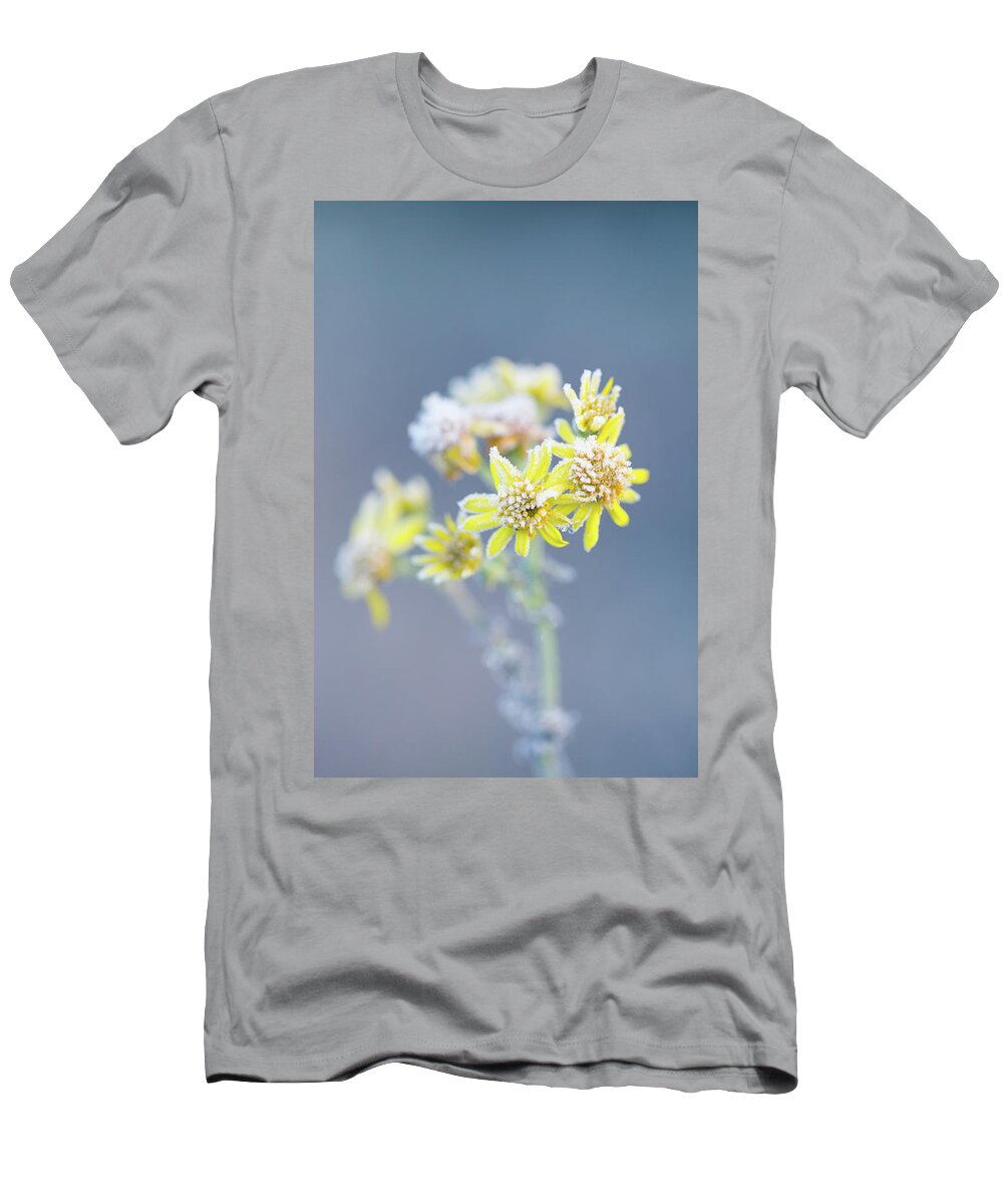 Flower T-Shirt featuring the photograph Ice Flowers by Anita Nicholson