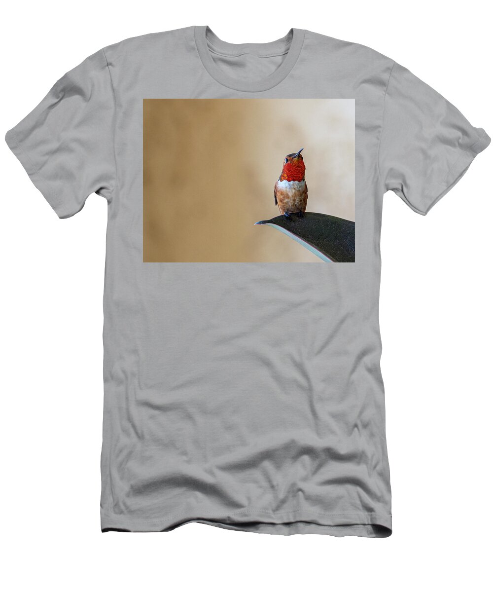 Hummingbirds T-Shirt featuring the photograph Don't Know What That Is But I'm Gonna Eat It by Joe Schofield