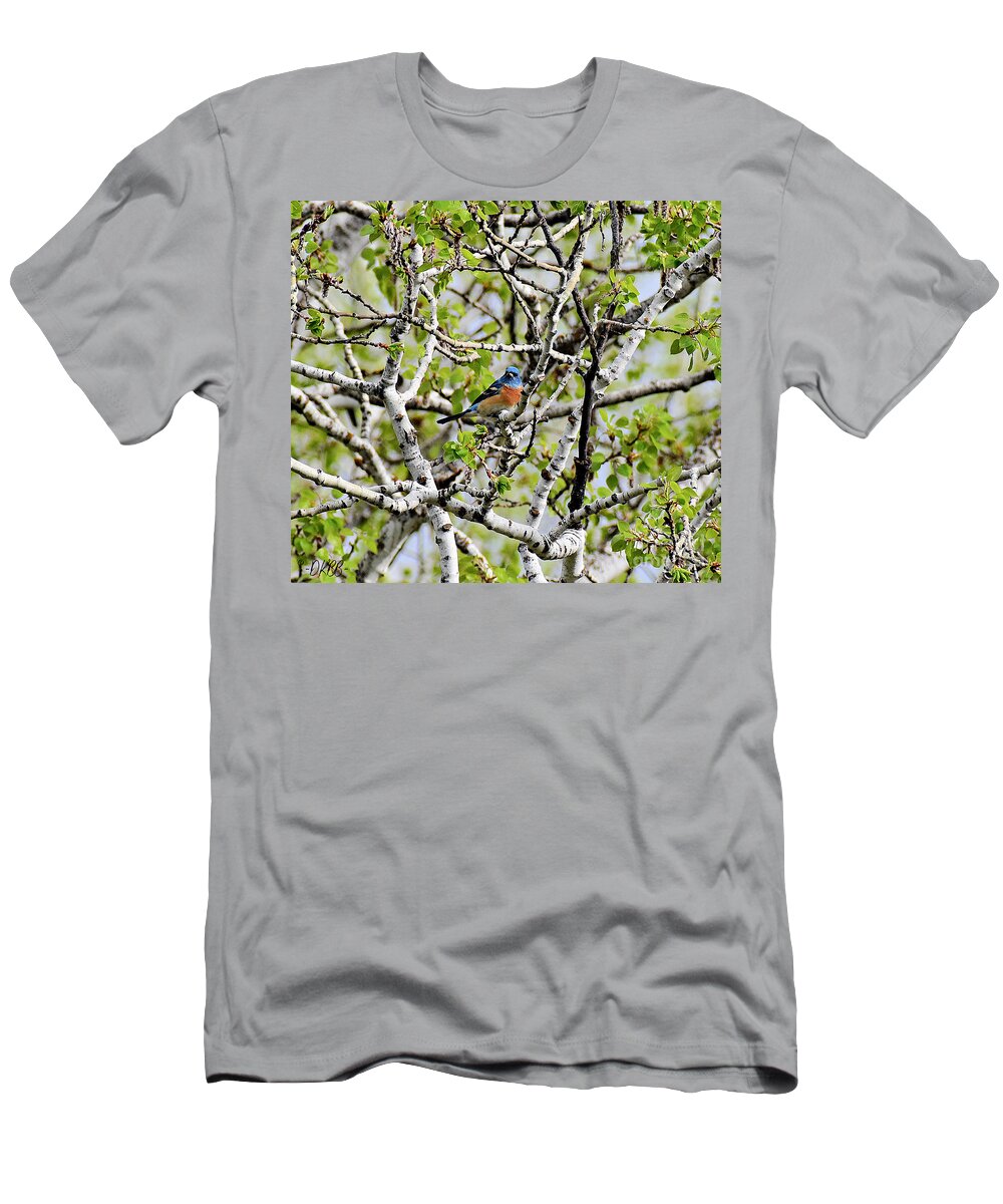 Lazuli Bunting T-Shirt featuring the photograph In the Aspen #3 by Dorrene BrownButterfield