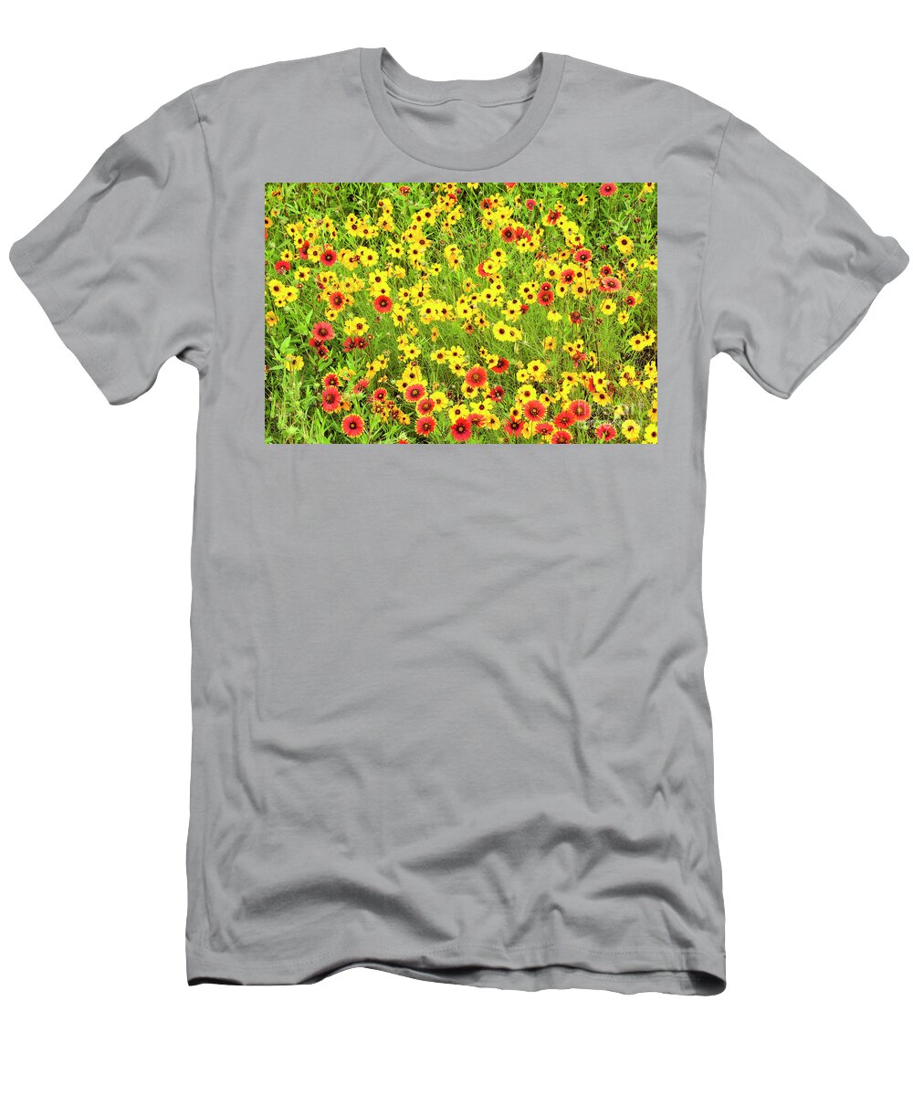 Dave Welling T-Shirt featuring the photograph Indian Blanketflowers And Coreopsis Texas by Dave Welling