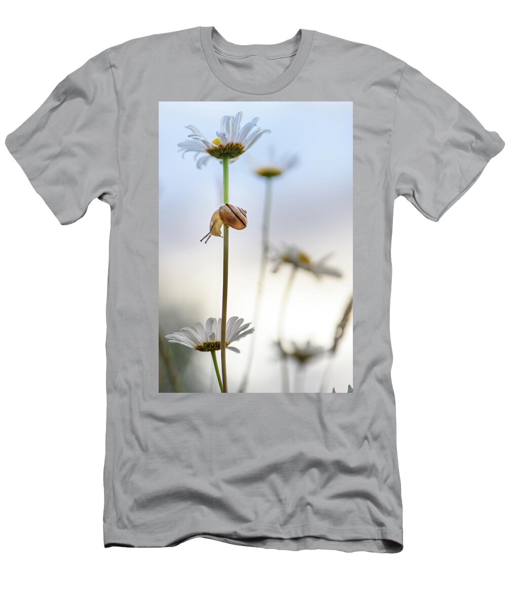 Snail T-Shirt featuring the photograph It's a long way down by Naomi Maya