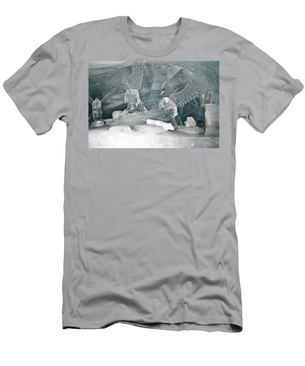 Switzerland T-Shirt featuring the photograph Jungfraujoch Ice Palace Eagles by Amelia Racca