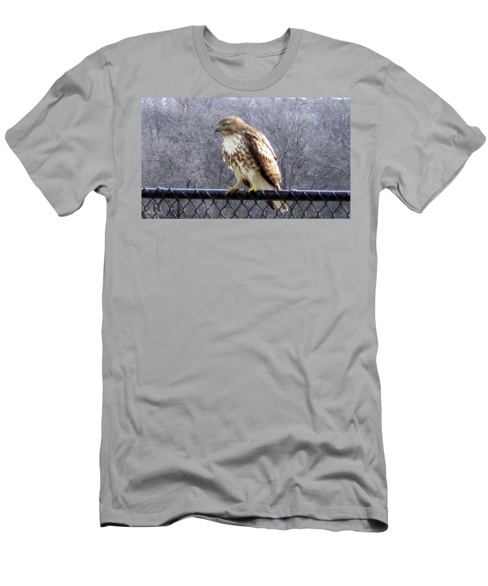 Hawk T-Shirt featuring the photograph Juvenile Red-Shouldered Majestic Hawk by Amy Hosp