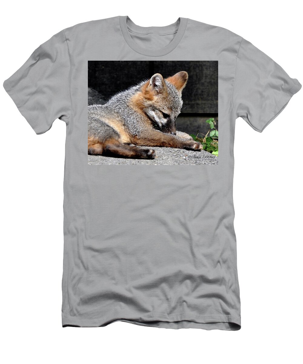 Kit Fox T-Shirt featuring the photograph Kit Fox8 by Torie Tiffany