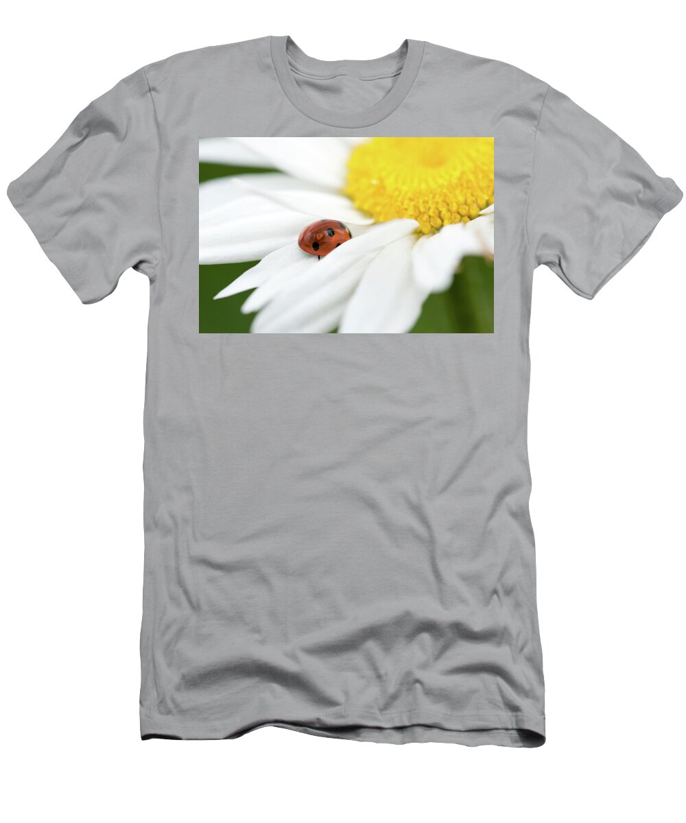 Ladybug T-Shirt featuring the photograph Ladybug on white petals of a flower by Philippe Lejeanvre