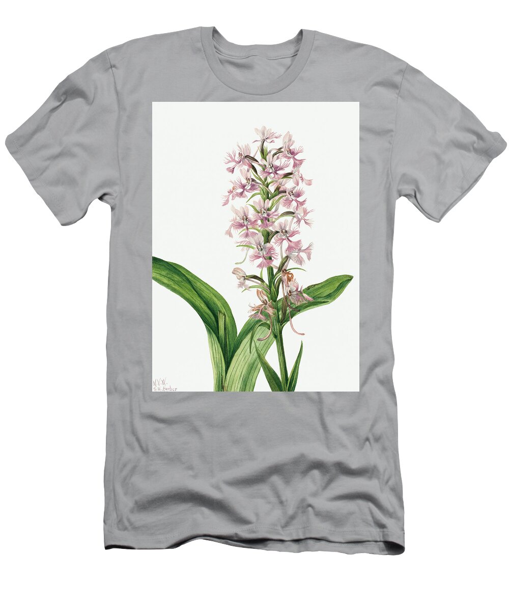 Purple T-Shirt featuring the painting Large Purple Fringe Orchid by Mary Vaux Walcott. by World Art Collective