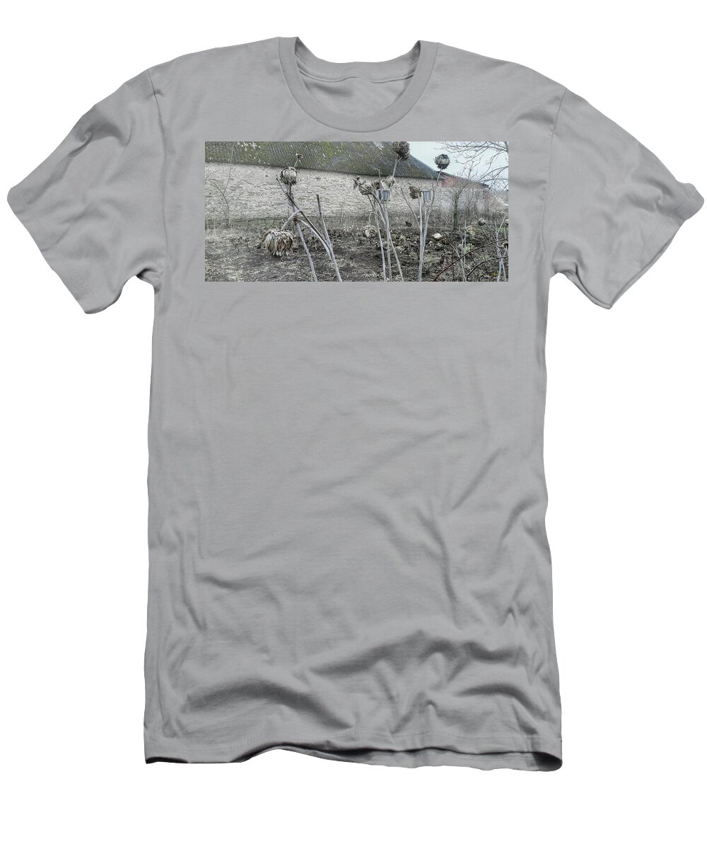 Artichoke T-Shirt featuring the photograph Last Summer's Artichoke 2 by Elaine Berger