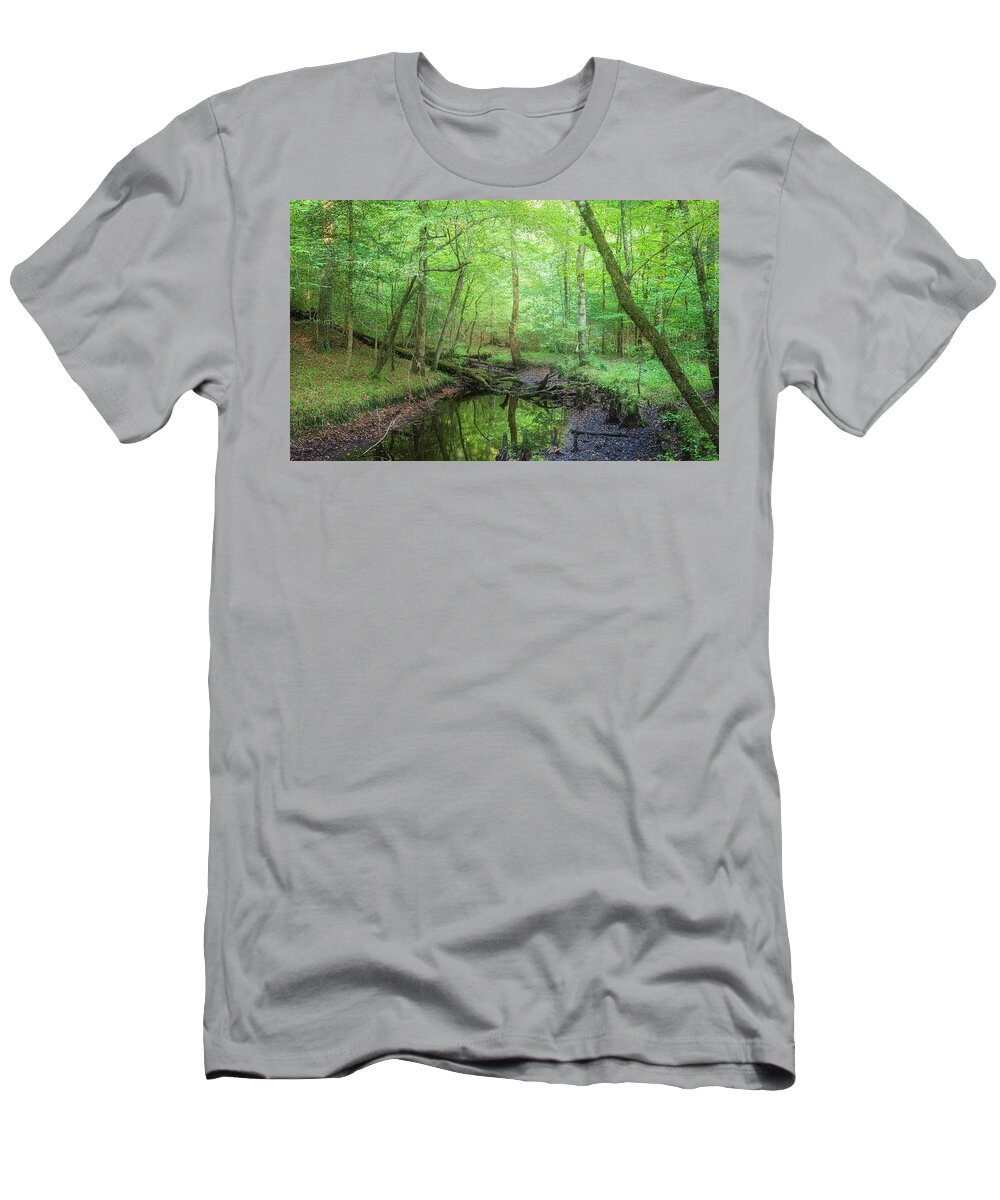 Forest T-Shirt featuring the photograph Late Summer in the Forest by Bob Decker