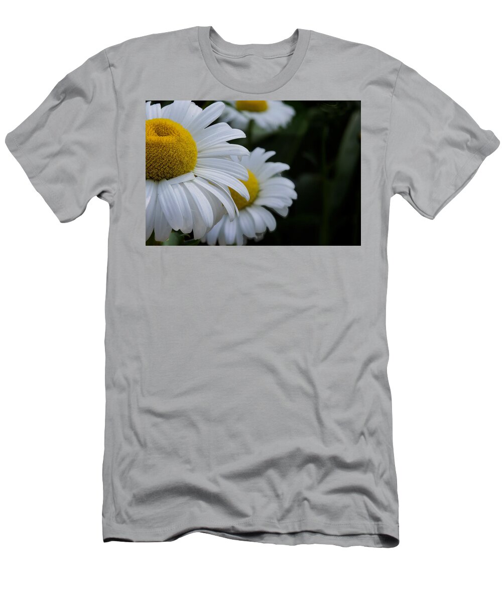Daisy T-Shirt featuring the photograph Lazy Daisies by Jim Signorelli