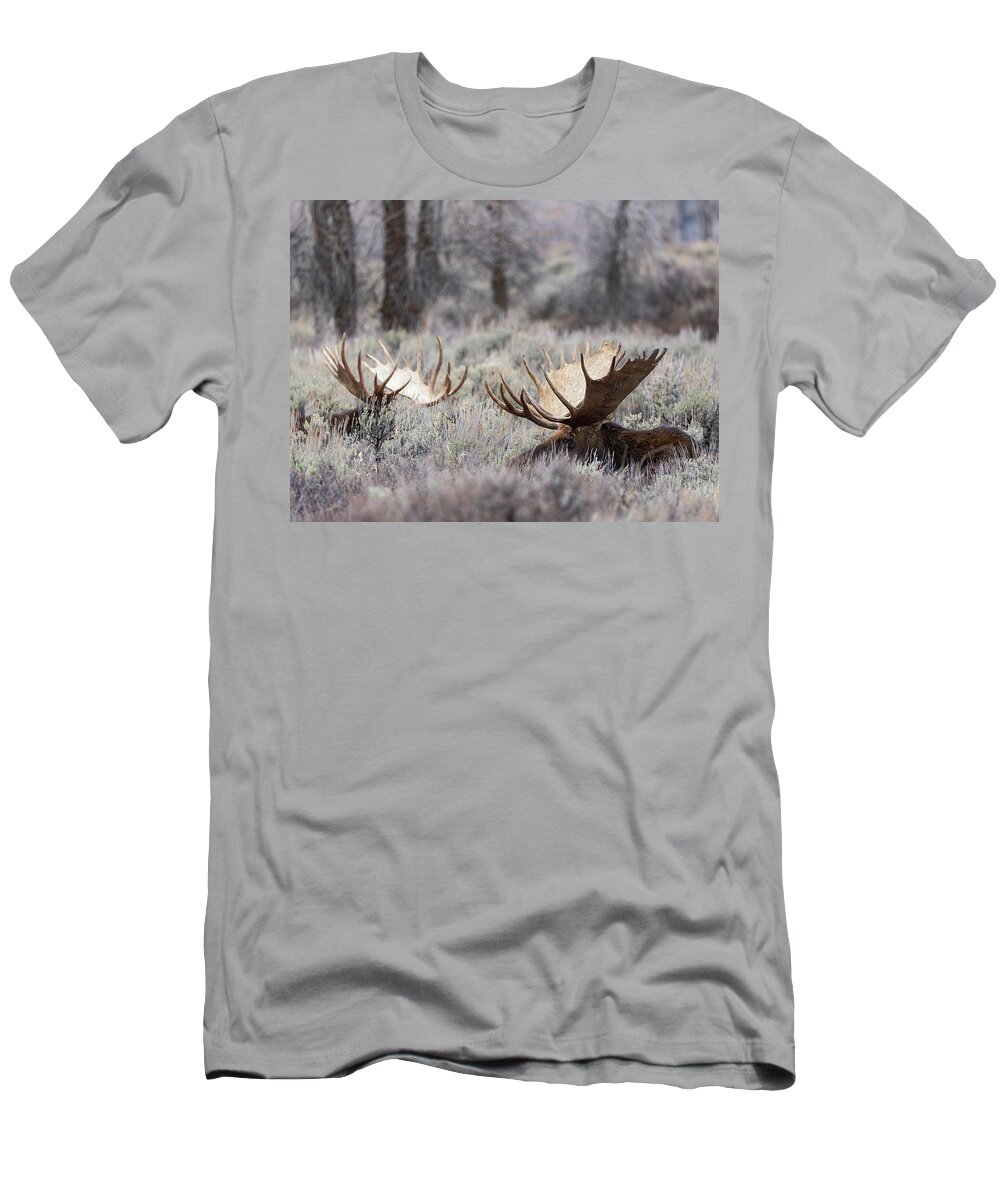 Moose T-Shirt featuring the photograph Lazy Moose by Wesley Aston