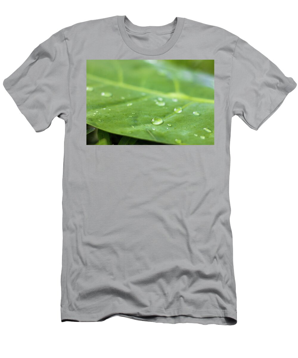 Leaf T-Shirt featuring the photograph Life Drops by Josu Ozkaritz