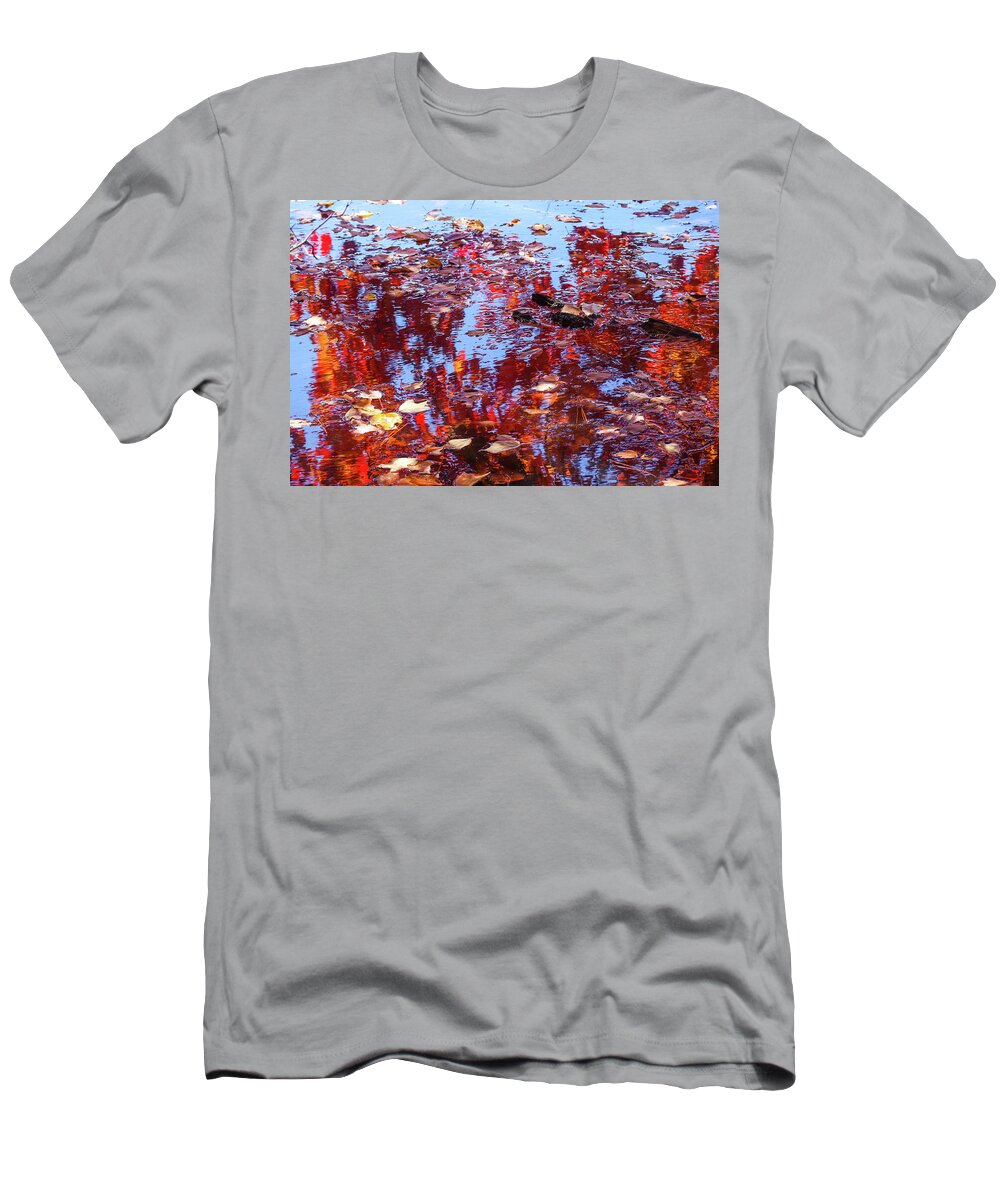 Lake T-Shirt featuring the photograph Limbs, Leaves, And Lakes by Ed Williams