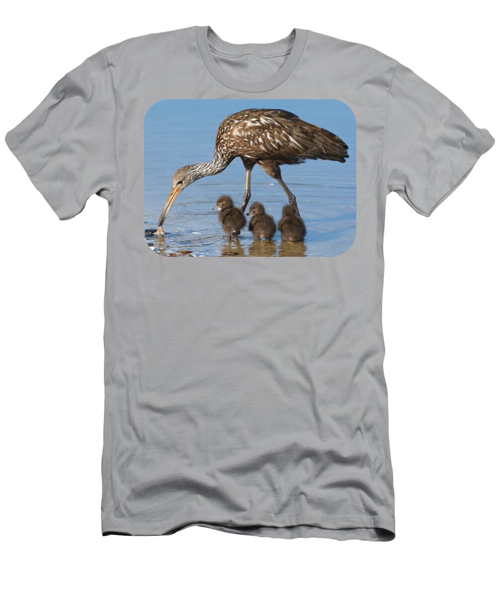 Bird Chicks T-Shirt featuring the photograph Limpkin with its three babies by Zina Stromberg